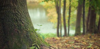 Jour de la Terre: 5 activités à faire avec les tout-petits