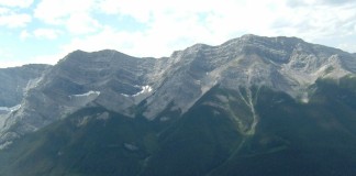 Les randonnées en forêt: une tradition familiale #WoodsExplorer