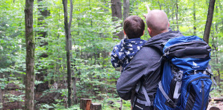 Quelques conseils pour des randonnées en forêt agréables