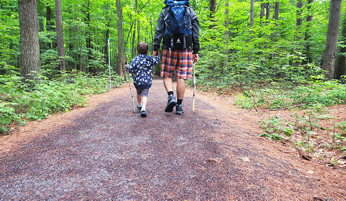 mnm_2015_randonnee_foret_D_01a