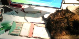 Je suis une D.A. #JeudiConfession