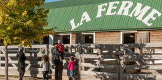 5 activités gratuites à faire avec les enfants près de Montréal et Laval