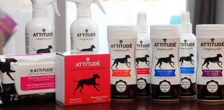 Gagnez la nouvelle collection de produits #ATTITUDEcompagnonsgriffés #Concours
