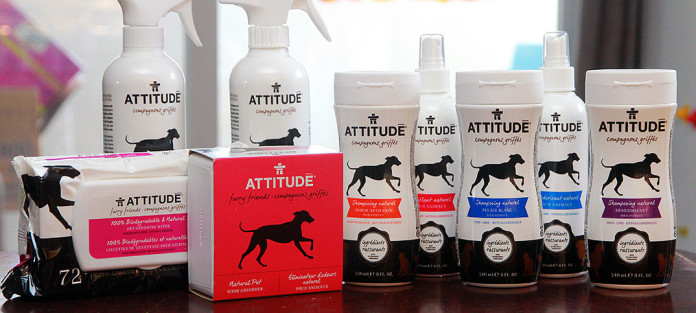 mnm_2015_attitude_animaux_D_01a