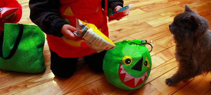 mnm_2015_costume_halloween_A_01a