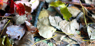 L’automne me rend un peu down