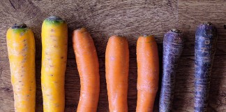 Un super programme et les trucs d’une nutritionniste pour manger plus de fruits et légumes