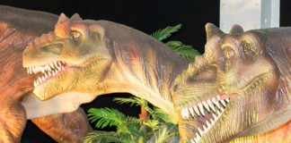 Centre des sciences dinosaures