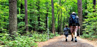 9 activités estivales gratuites à faire au Centre-du-Québec