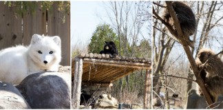 Activité en famille : Visite de l’Ecomuseum de Montréal