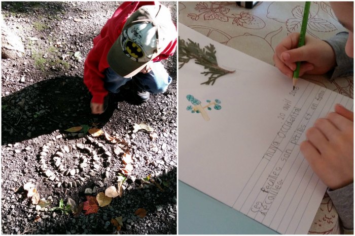 observation_nature_land_art-m