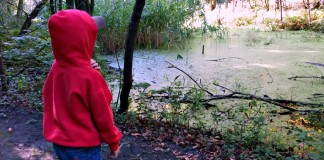 7 activités gratuites à faire en famille à Montréal