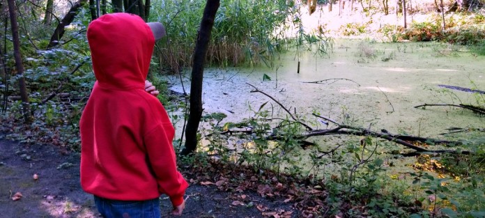 parc_nature_pointe_aux_prairies-m