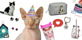 Lèche-vitrine pour amateurs de chats #Concours