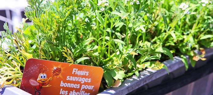 meh_2016_cheerios_juin_A_cover_01a