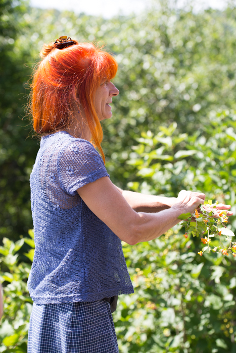 herboriste Clef des champs