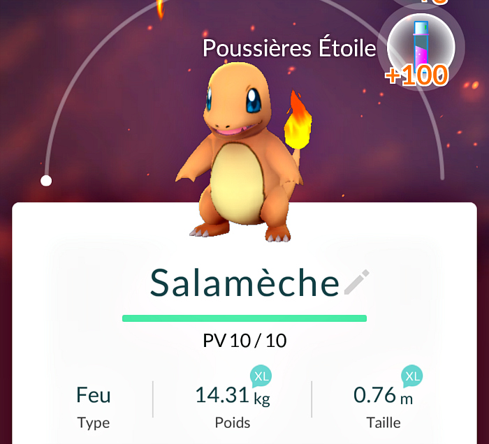 salameche-pokemongo