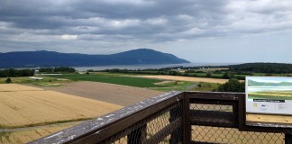 Le tour de l’île d’Orléans : mes bonnes adresses! Île d’Orléans