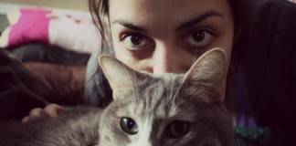 Journée internationale du chat