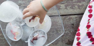 activités thématique dinosaures