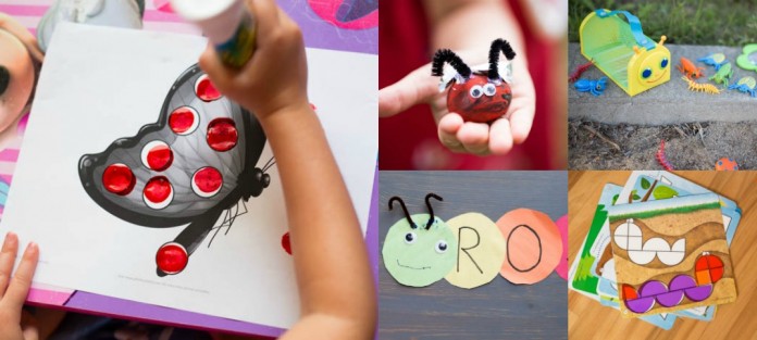 activites-insectes activites-insectes