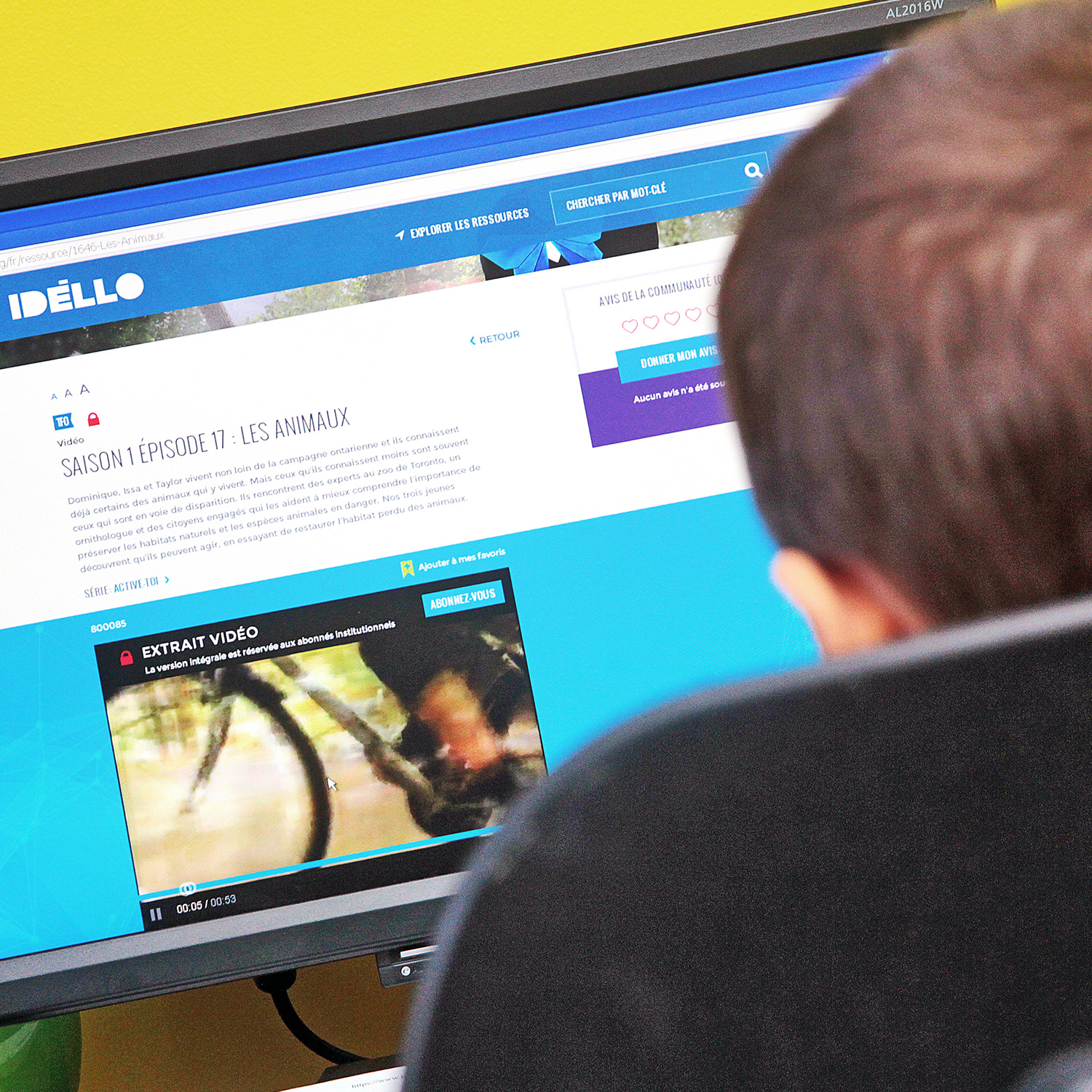 meh_2016_idello_c_instagram_01a