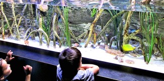 5 idées d’activités à offrir en cadeau dans la région de Québec!