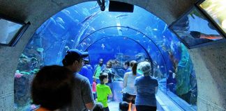 12 activités pour occuper la semaine de relâche