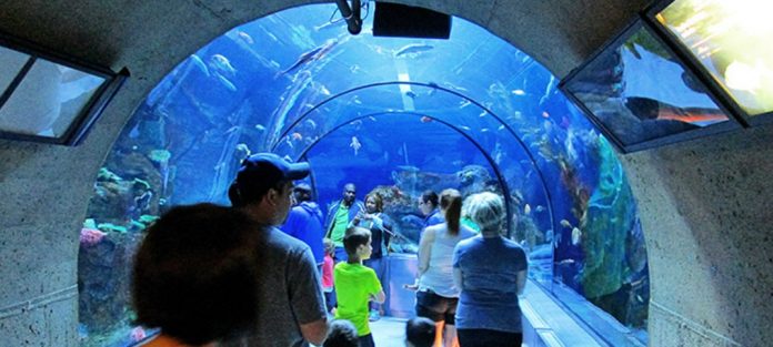 aquariumduquebec