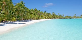 Un avant-goût de l’été?