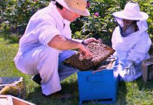 Portes ouvertes chez Intermiel pour la Journée des abeilles