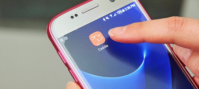 meh_2017_caddle_A_cover_01a