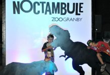 Noctambule: Le Zoo de Granby à la tombée de la nuit Noctambule Granby