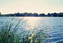 La vie de rêve vie de rêve